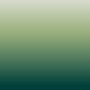 Evergreen Fade