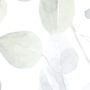 Spring Foliage