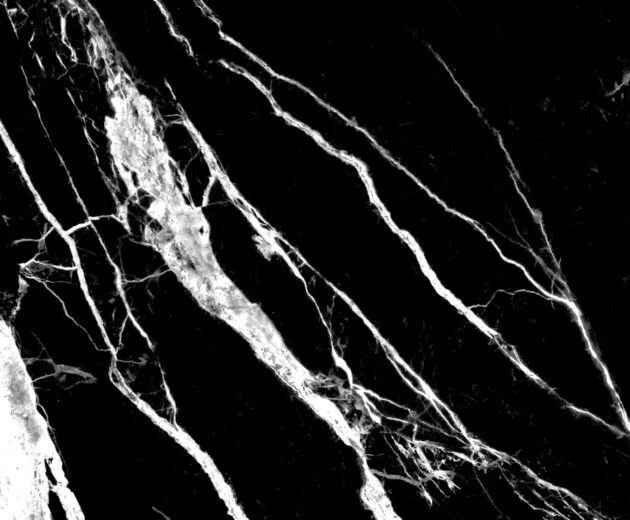 Black Marble - Image 2