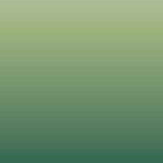 Evergreen Fade - Image 2