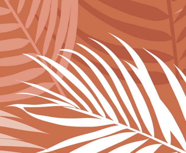 Jungle - Image 2