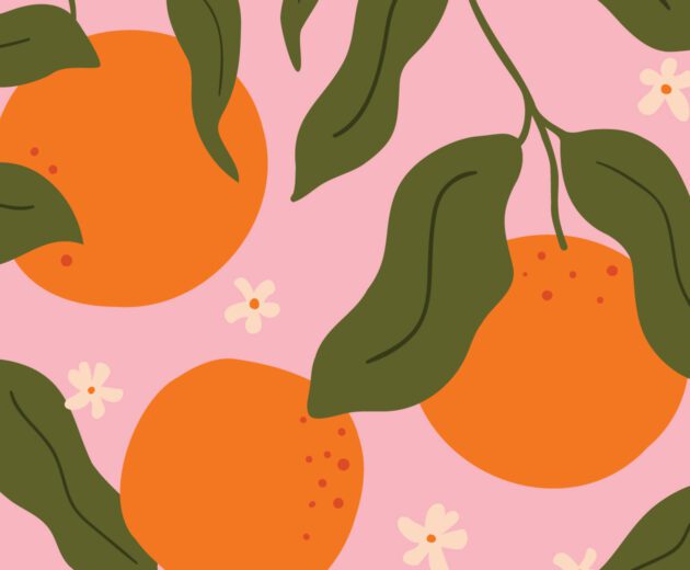 Satsuma - Image 2