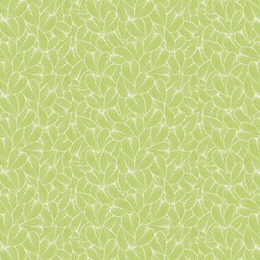 Pothos - Image 3