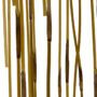 Pampas Reed