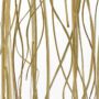 Prairie Grass