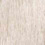 Palapa Blonde - Image 3