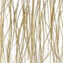 Prairie Grass - Image 2