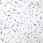 Dark Matter - Image 2
