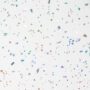 Galaxy - Image 2
