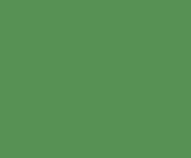 Olive + Pacific