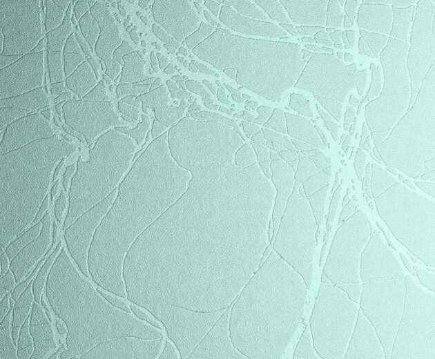 Vena + Seaglass