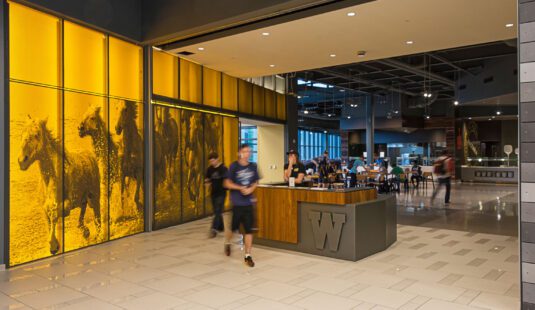 Bright Ideas: Designing Spaces for Every Level of Education with Resin Panels